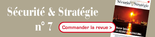 Sécurité & Stratégie N°7