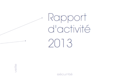 Rapport annuel du CDSE 2013